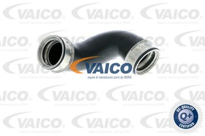 V301778 VAICO Трубка нагнетаемого воздуха