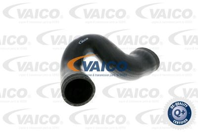 V102876 VAICO Трубка нагнетаемого воздуха