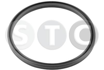 T414679 STC Уплотнительное кольцо, трубка нагнетаемого воздуха