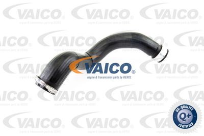 V102879 VAICO Трубка нагнетаемого воздуха
