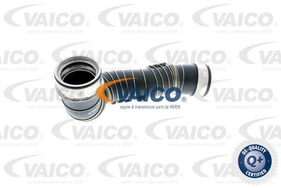 V301777 VAICO Трубка нагнетаемого воздуха