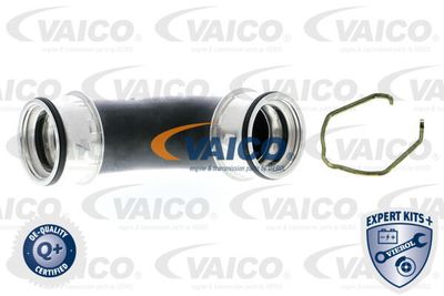 V105305 VAICO Трубка нагнетаемого воздуха