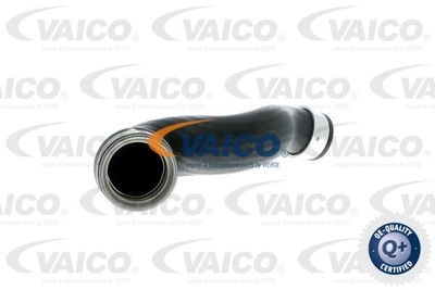 V102697 VAICO Трубка нагнетаемого воздуха