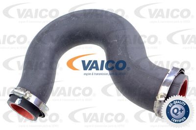V461030 VAICO Трубка нагнетаемого воздуха