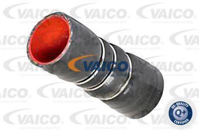 V240632 VAICO Трубка нагнетаемого воздуха