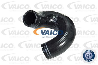 V240702 VAICO Трубка нагнетаемого воздуха