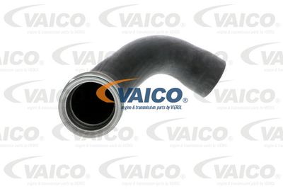 V301791 VAICO Трубка нагнетаемого воздуха