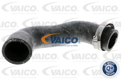 V210028 VAICO Трубка нагнетаемого воздуха