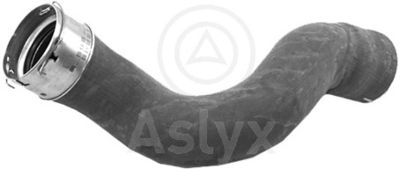 AS509673 Aslyx Трубка нагнетаемого воздуха