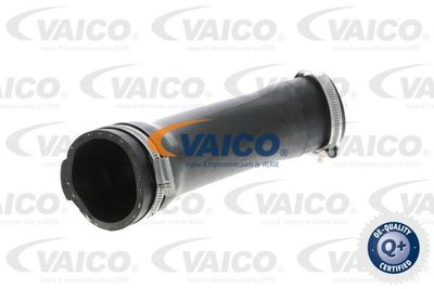 V102877 VAICO Трубка нагнетаемого воздуха