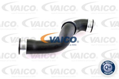 V301776 VAICO Трубка нагнетаемого воздуха