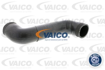 V102883 VAICO Трубка нагнетаемого воздуха