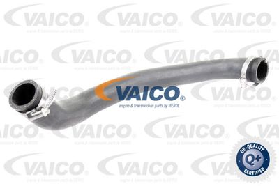 V250993 VAICO Трубка нагнетаемого воздуха