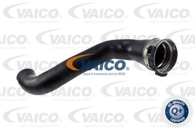 V480187 VAICO Трубка нагнетаемого воздуха