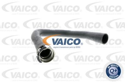 V401361 VAICO Трубка нагнетаемого воздуха