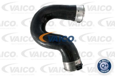 V301068 VAICO Трубка нагнетаемого воздуха