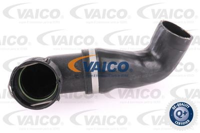 V202807 VAICO Трубка нагнетаемого воздуха