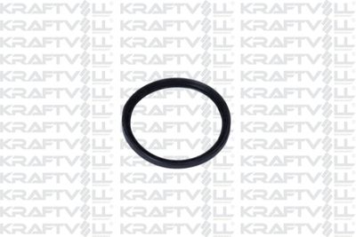 10031247 KRAFTVOLL GERMANY Уплотнительное кольцо, трубка нагнетаемого воздуха