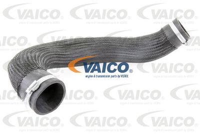 V103834 VAICO Трубка нагнетаемого воздуха