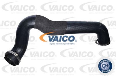 V252561 VAICO Трубка нагнетаемого воздуха