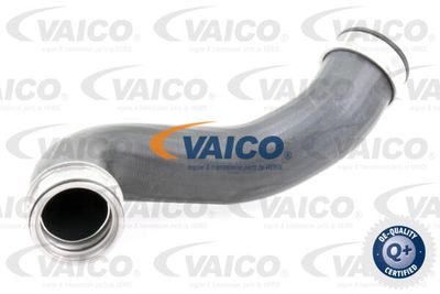 V302648 VAICO Трубка нагнетаемого воздуха