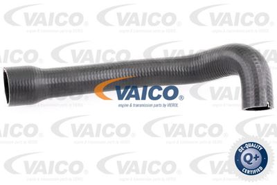 V240719 VAICO Трубка нагнетаемого воздуха