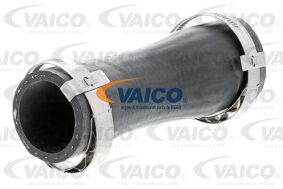 V103797 VAICO Трубка нагнетаемого воздуха