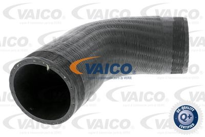 V302451 VAICO Трубка нагнетаемого воздуха