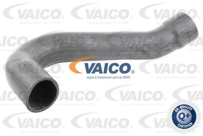 V301795 VAICO Трубка нагнетаемого воздуха