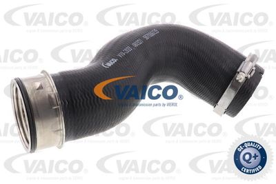 V102833 VAICO Трубка нагнетаемого воздуха