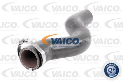 V461034 VAICO Трубка нагнетаемого воздуха