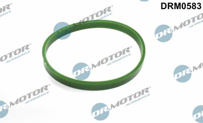 DRM0583 Dr.Motor Automotive Уплотнительное кольцо, трубка нагнетаемого воздуха
