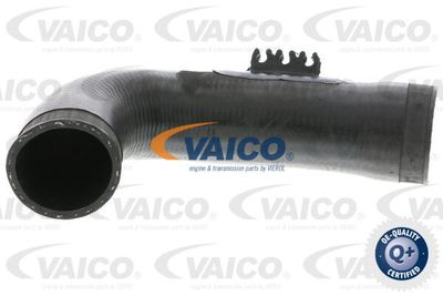 V103771 VAICO Трубка нагнетаемого воздуха