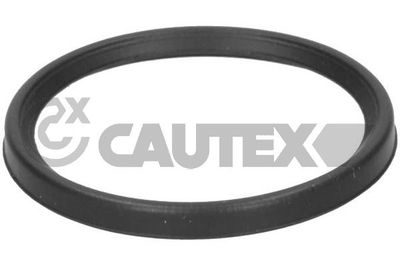 773502 CAUTEX Уплотнительное кольцо, трубка нагнетаемого воздуха