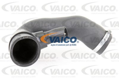 V103823 VAICO Трубка нагнетаемого воздуха