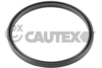 769723 CAUTEX Уплотнительное кольцо, трубка нагнетаемого воздуха
