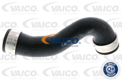 V103761 VAICO Трубка нагнетаемого воздуха