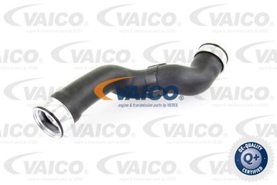 V301781 VAICO Трубка нагнетаемого воздуха
