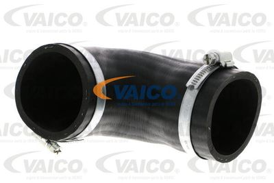 V103810 VAICO Трубка нагнетаемого воздуха