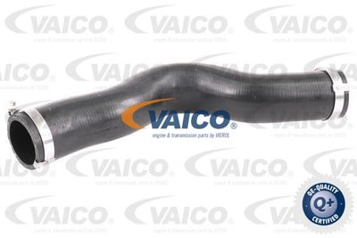 V401448 VAICO Трубка нагнетаемого воздуха