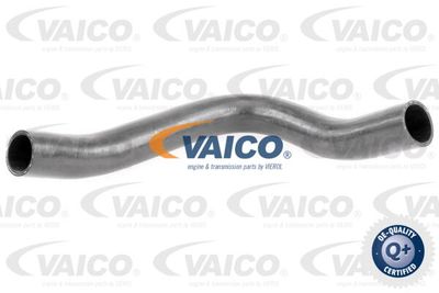 V420609 VAICO Трубка нагнетаемого воздуха