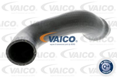 V103828 VAICO Трубка нагнетаемого воздуха