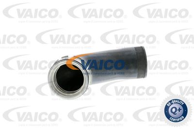 V202971 VAICO Трубка нагнетаемого воздуха