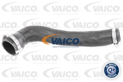 V420568 VAICO Трубка нагнетаемого воздуха