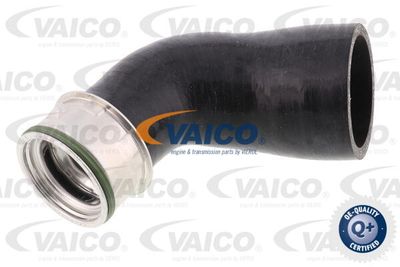 V104379 VAICO Трубка нагнетаемого воздуха