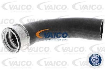 V103802 VAICO Трубка нагнетаемого воздуха
