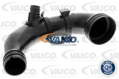 V240764 VAICO Трубка нагнетаемого воздуха