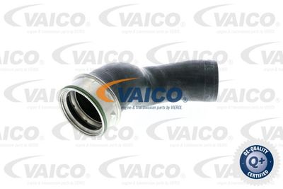 V301786 VAICO Трубка нагнетаемого воздуха