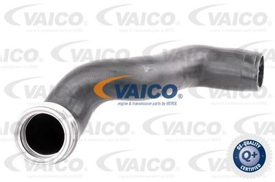 V103786 VAICO Трубка нагнетаемого воздуха