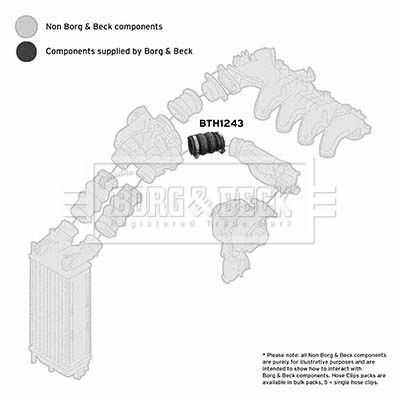 BTH1243 BORG & BECK Трубка нагнетаемого воздуха